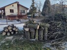 Drewno na opał - 3