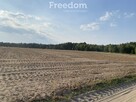 Przepiękna duża działka w Ciechocinie - 6