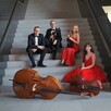 skrzypce, wiolonczela, trio smyczkowe , kwartet smyczkowy - 3