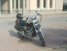 Honda Shadow VT 500 C - 2