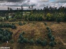 działka blisko 3 jezior I Kaszuby I spokojna okolica I las - 6