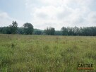 Działka rolna Mikoszewo gm. Stegna, Gdańska - 3