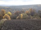 Działka widokowa, 0.5ha, południowy stok,. Kulerzów. - 1