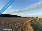 OFERTA SPRZEDAŻY LUB DŁUGOTERMINOWEJ DZIERŻAWY ŻWIROWNI – KOCHOWO II - 6
