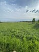 Działka rolna - Kotowa Wola