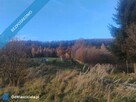 Sprzedam działkę z pięknym widokiem i świetnym sąsiedztwem – Radochów, gm. Lądek-Zdrój (Dolny Śląsk) - 4
