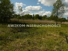 Działka budowlana Sewerynów gm. Nowy Kawęczyn - 10