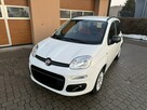 Fiat Panda 1,2 69KM  Klimatyzacja  Serwisowany  1Właściciel - 13
