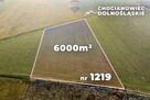 Okazja cenowa! Duża działka - Chocianowiec - 9