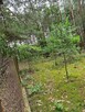 Działka budowlana Oleszno gm. Krasocin, - 11