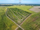 Inwestycyjna rolna działka Łubowice obok Poznania - 8