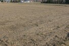 46,3arDZIAŁKA INWESTYCYJNA!!! - 5