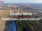 Działka leśna Kuźniczysko gm. Trzebnica,