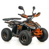ASIX Inny Quad ASIX Muddy 110 Transport Raty Fvat Licznik Światła LED Automat - 4