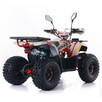 ASIX Inny Quad ASIX Hunter 125 Transport Raty Fvat Automat Oświetlenie LED - 13