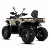 ASIX Inny Quad ASIX Challenger 250RR Transport Raty Fvat Homologacja Drogowa T3B - 9