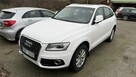 Audi Q5 2.0tdi quattro autoamy panorama full opcja full serwis 1.wl.1.rok.gwar - 7