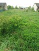 DZIAŁKA BUDOWLANA 2200 m2 98 km od W-wy na wsi za 175 tyś zł - 2