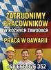 Zatrudnimy do pracy w Niemczech - Regipsy - Wykończenia