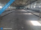 Działka inwestycyjna na sprzedaż. Magazyn, hala produkcyjna, kurnik. - 4