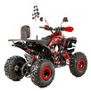 XTR Inny Quad XTR Bombardier Pro 125 Transport Raty Fvat Handbary Klakson LED - 5