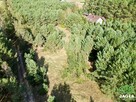 Działka siedliskowa Nowa Wioska gm. Nowa Wieś Wielka - 5