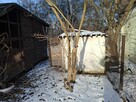 ogródek działkowy R.O.D. Arenda Gliwice - 5