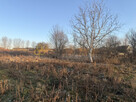 Działka inwestycyjna Żagań, - 3