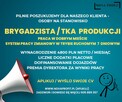 BRYGADZISTA/BRYGADZISTKA ZAKŁAD PRODUKCYJNY