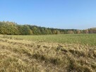 Działka budowlana Gady - 4