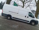DUCATO/MAXI/3.0/DIESEL/HAK/ZAREJESTR/ - 4