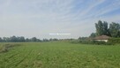 Działka inwestycyjna Cholerzyn gm. Liszki - 5