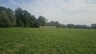 Działka inwestycyjna Cholerzyn gm. Liszki - 6