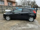 Ford Fiesta - 7