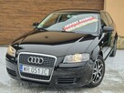 Audi A3 2008, 1.6B 102KM, Bardzo Zadbany, Z Niemiec-Zarejestrowany - 3