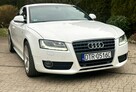Audi A5 2.0TFSI 180KM Biała Bardzo Ładna S-Line Zarejestrowana - 14