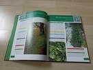 Agnieszka i Włodek Bilińscy: Rośliny chronione w Polsce - 7