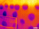 Badania kamerą termowizyjną. Analizy wilgotnościowe - Łódź. - 5