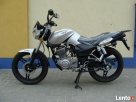 Motocykl ZIPP ZV 125 NOWY Moto-Juzwex Zamość - 3