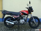 Motorower ZIPP ZV50 czerw.-czarn. NOWY Moto-Juzwex ZAMOŚĆ - 3