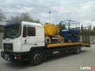 Wycinka,ścinka,pielęgnacja drzew,Jawor,Świdnica,Wrocław - 7