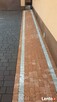 Układanie kostki brukowej,usługi sprzętem budowlanym - 2