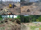 Karczowanie zarośli, koszenie trawy, czyszczenie działek - 2
