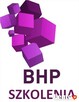 NADZÓR BHP, OUTSOURCING – „ zewnętrzna służba BHP”