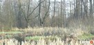 SPRZEDAM DZIAŁKĘ REKREACYJNĄ - 2