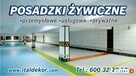 TYNKI DEKORACYJNE i POSADZKI ŻYWICZNE - 2