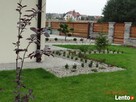Pielęgnacja, wykonawstwo ogrodów, projektowanie ogrodów - 5