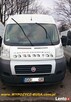 Wynajem aut dostawczych/ busów/ osobowych/ autolawet - 3