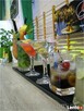 Drink-bar, obsługa barmańska imprez - Criollo