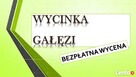 Wycięcie drzewa cena, tel. 504-746-203. ścięcie, wycinka - 3